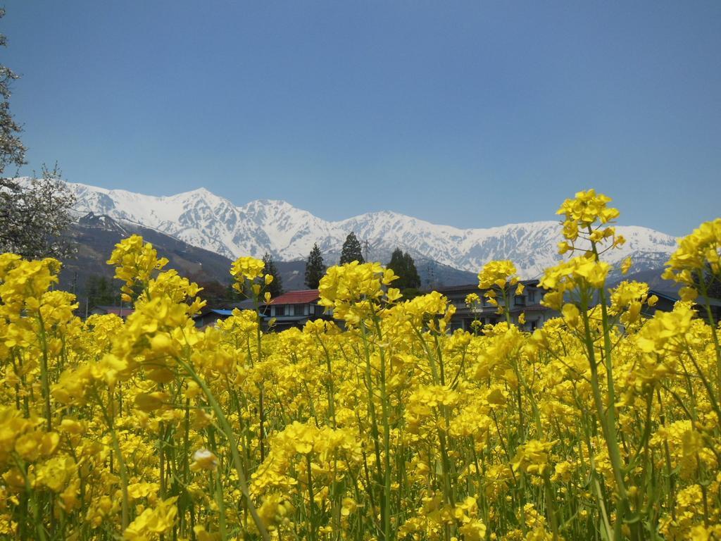 Pension Ciel Hakuba Exterior photo