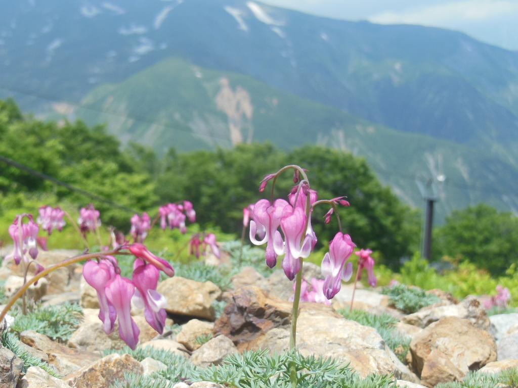 Pension Ciel Hakuba Exterior photo